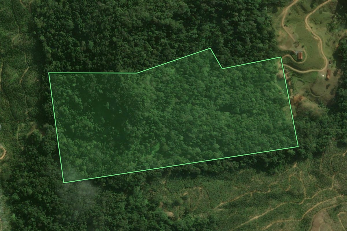 Imagem de satélite do imóvel rural em Corupá (SC), com o contorno declarado no CAR desenhado por cima.