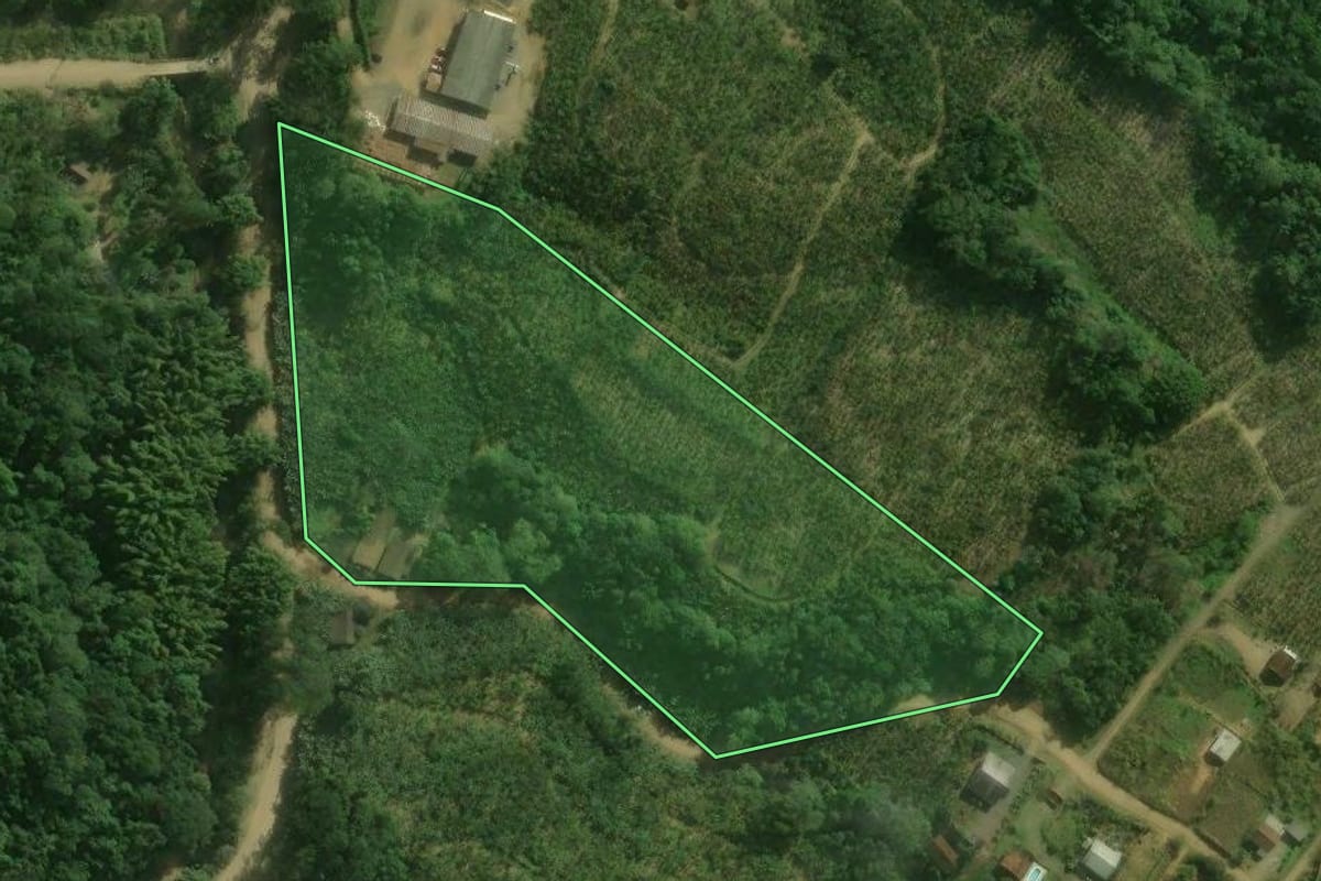 Imagem de satélite do imóvel rural em Corupá (SC), com o contorno declarado no CAR desenhado por cima.