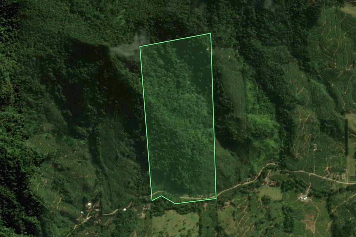 Imagem de satélite do imóvel rural em Corupá (SC), com o contorno declarado no CAR desenhado por cima.