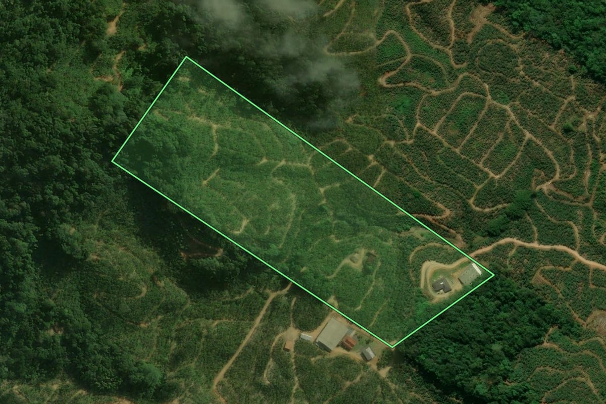 Imagem de satélite do imóvel rural em Corupá (SC), com o contorno declarado no CAR desenhado por cima.