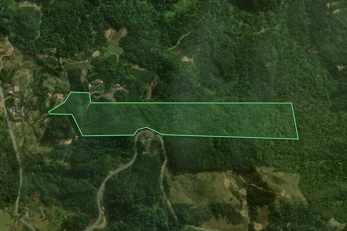Imagem de satélite do imóvel rural em Corupá (SC), com o contorno declarado no CAR desenhado por cima.