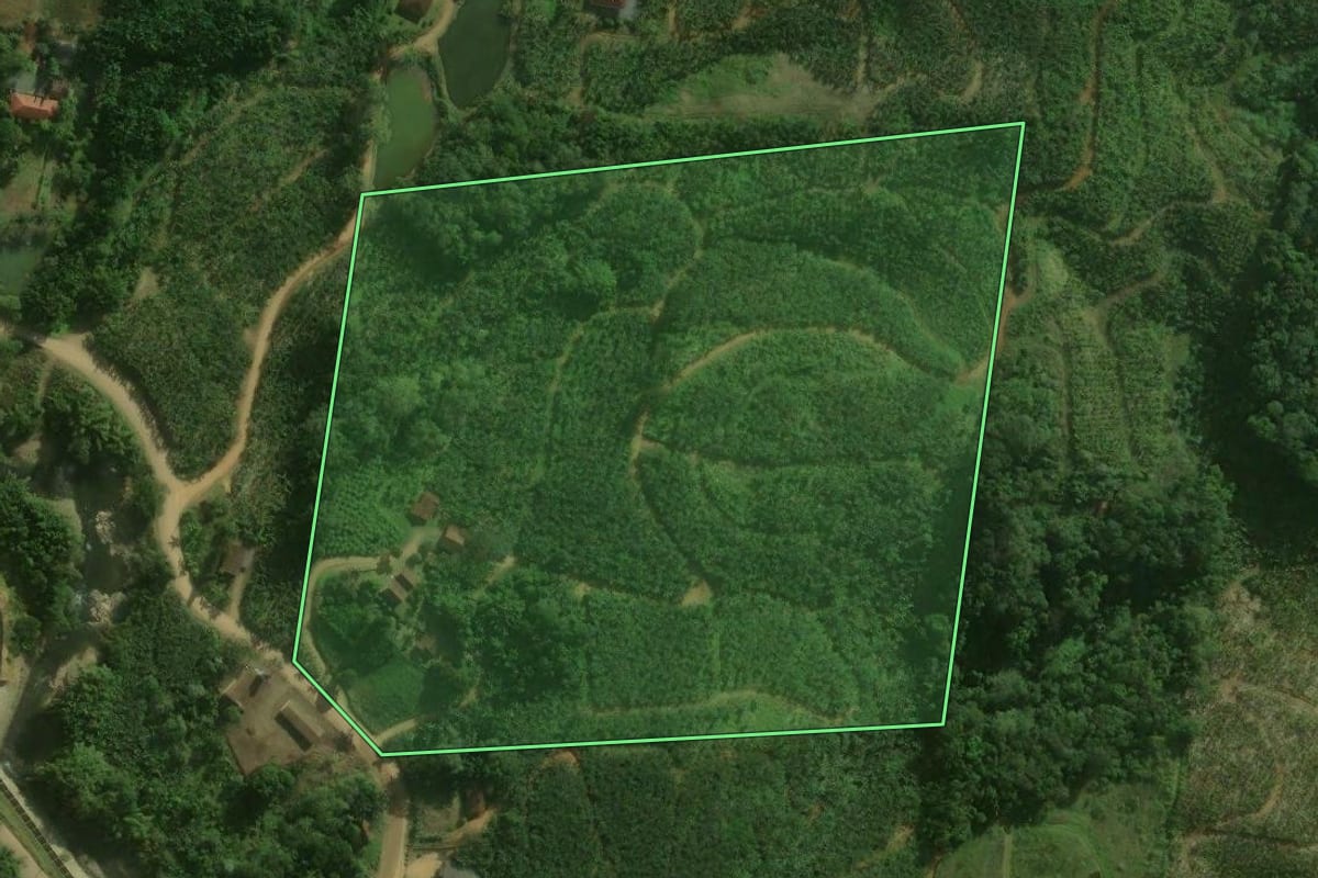 Imagem de satélite do imóvel rural em Corupá (SC), com o contorno declarado no CAR desenhado por cima.