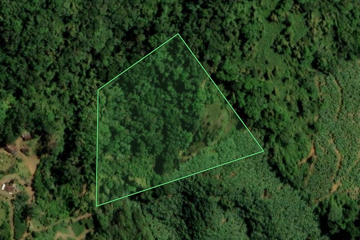 Imagem de satélite do imóvel rural em Corupá (SC), com o contorno declarado no CAR desenhado por cima.