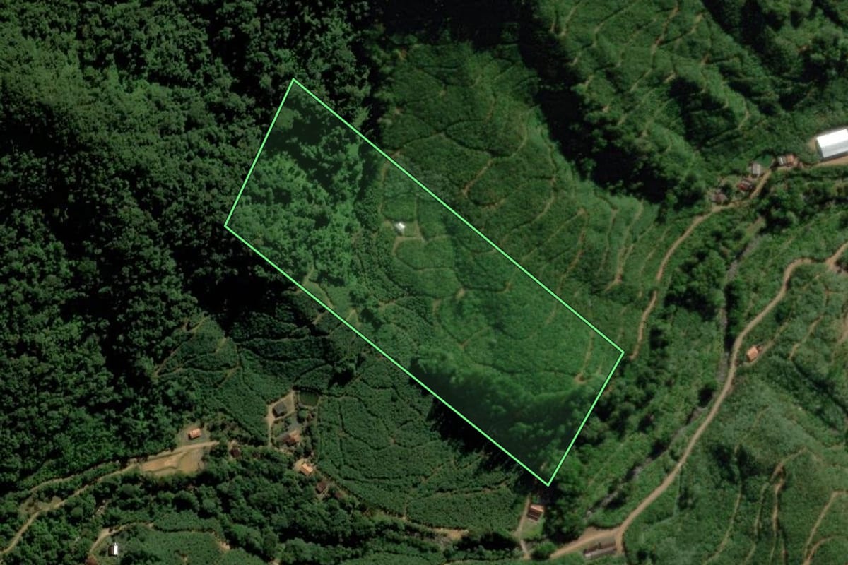 Imagem de satélite do imóvel rural em Corupá (SC), com o contorno declarado no CAR desenhado por cima.