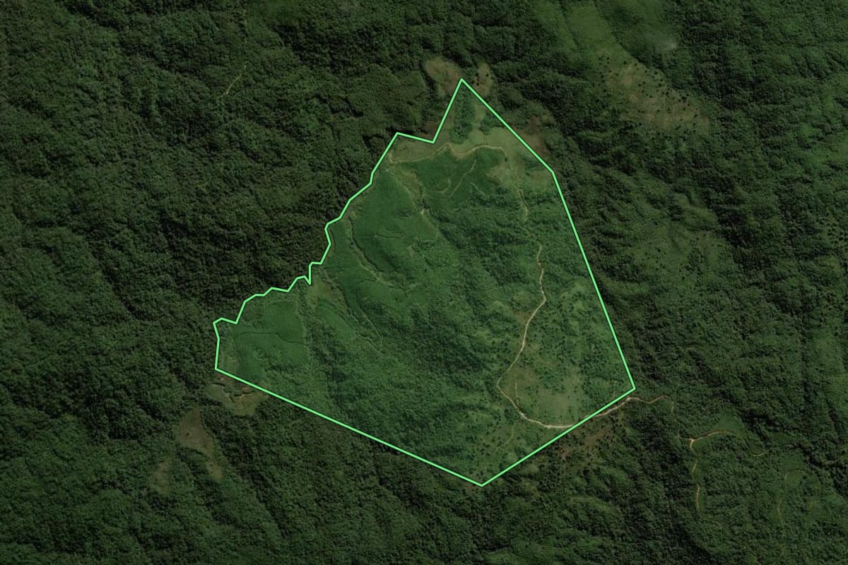 Imagem de satélite do imóvel rural em Corupá (SC), com o contorno declarado no CAR desenhado por cima.