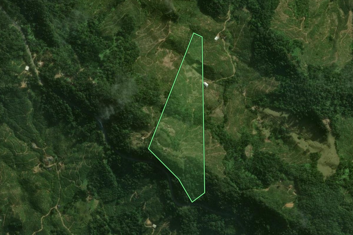 Imagem de satélite do imóvel rural em Corupá (SC), com o contorno declarado no CAR desenhado por cima.