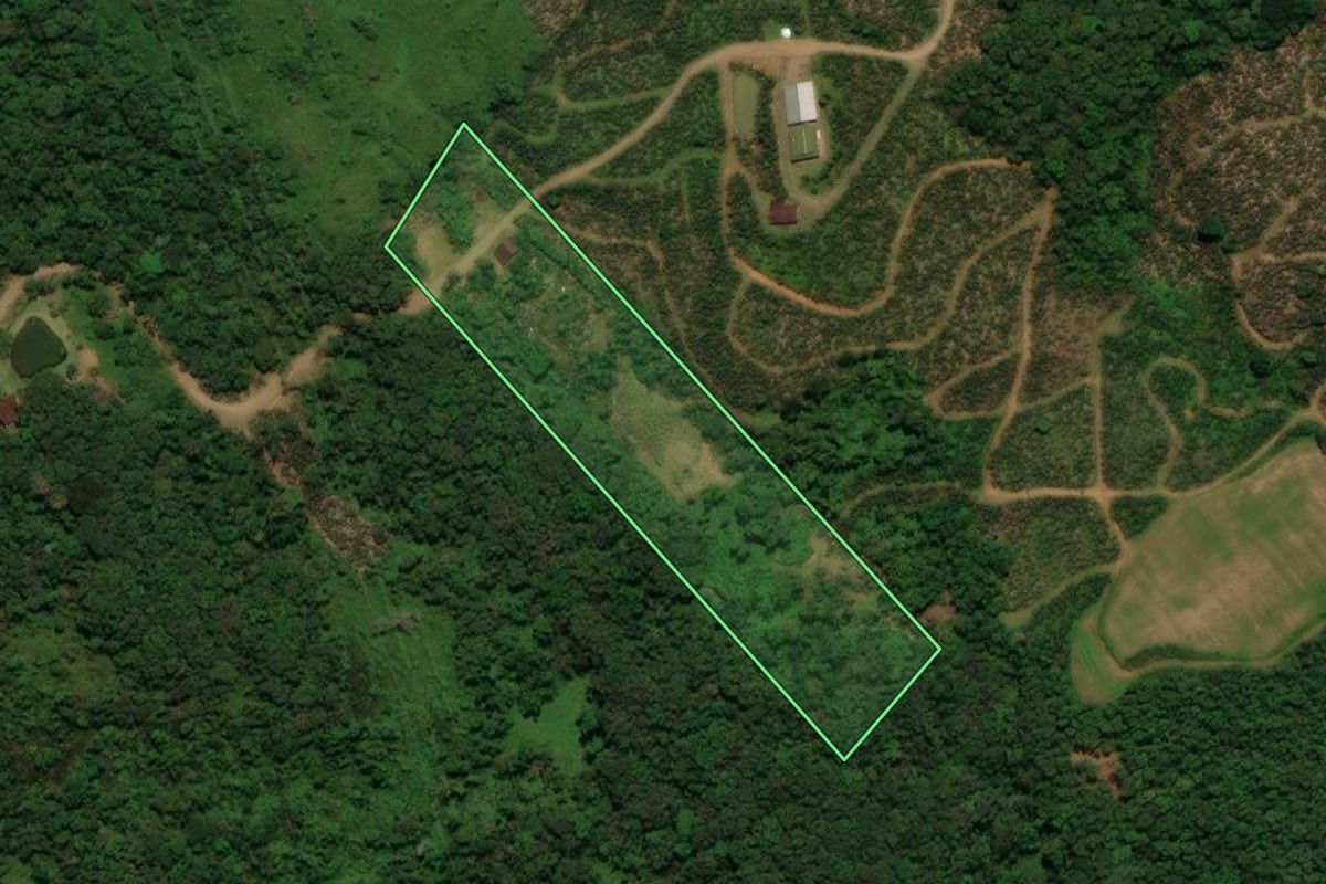 Imagem de satélite do imóvel rural em Corupá (SC), com o contorno declarado no CAR desenhado por cima.