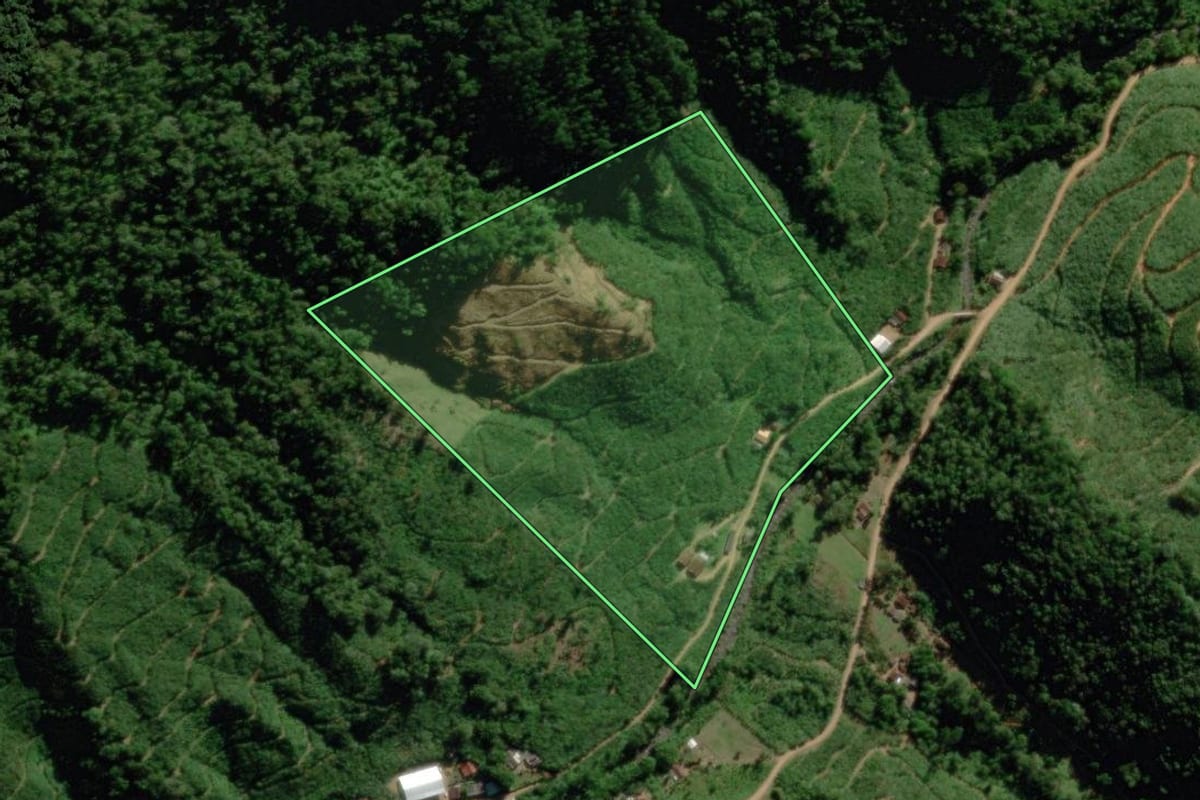 Imagem de satélite do imóvel rural em Corupá (SC), com o contorno declarado no CAR desenhado por cima.