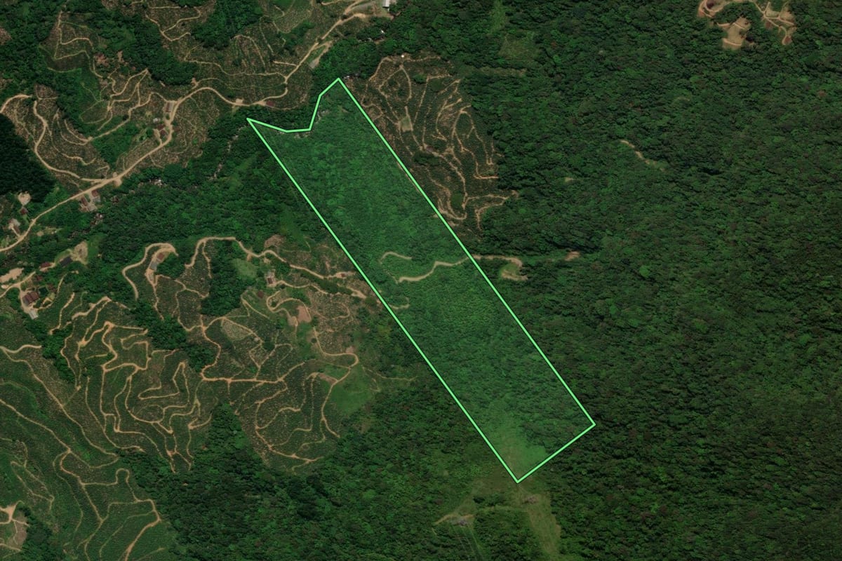 Imagem de satélite do imóvel rural em Corupá (SC), com o contorno declarado no CAR desenhado por cima.