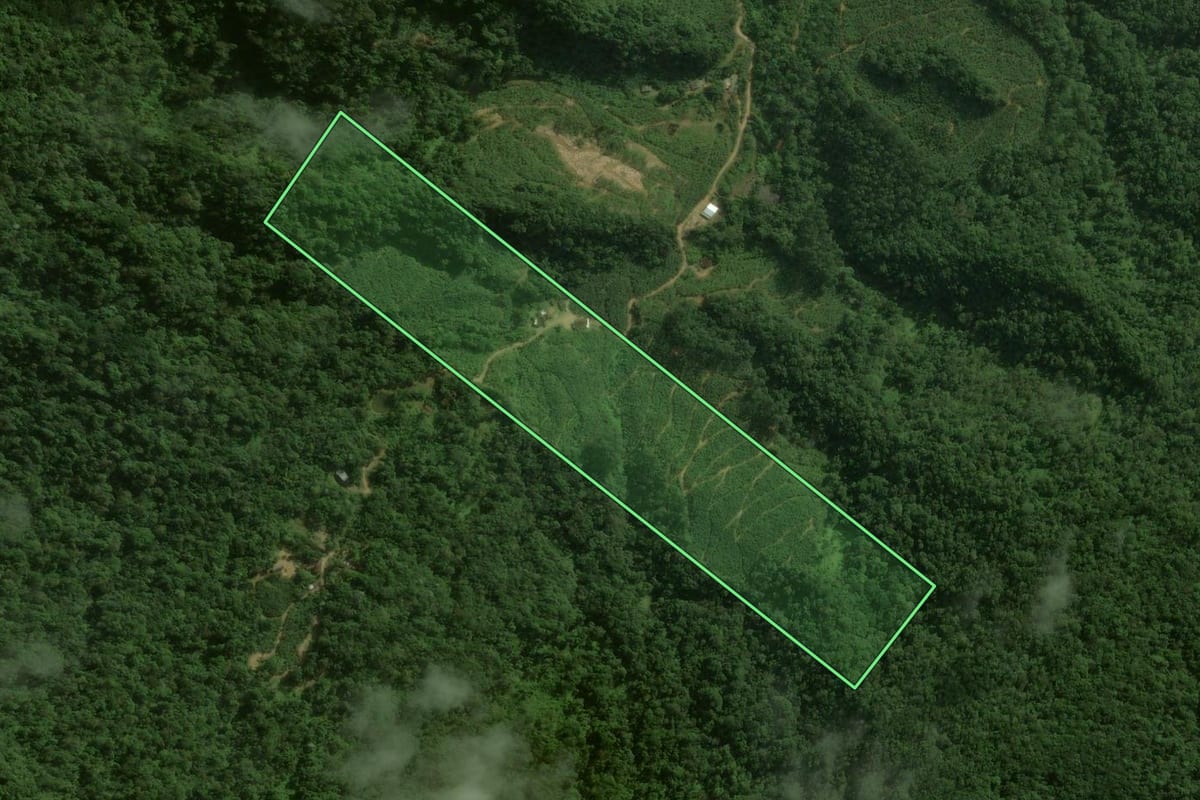 Imagem de satélite do imóvel rural em Corupá (SC), com o contorno declarado no CAR desenhado por cima.