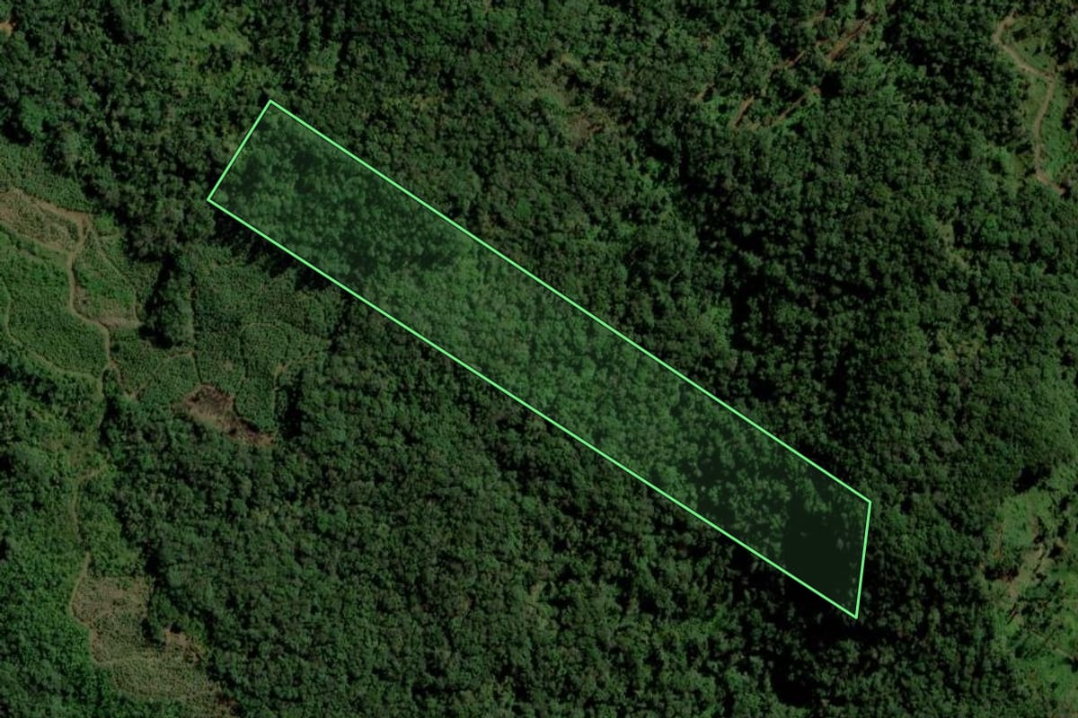 Imagem de satélite do imóvel rural em Corupá (SC), com o contorno declarado no CAR desenhado por cima.