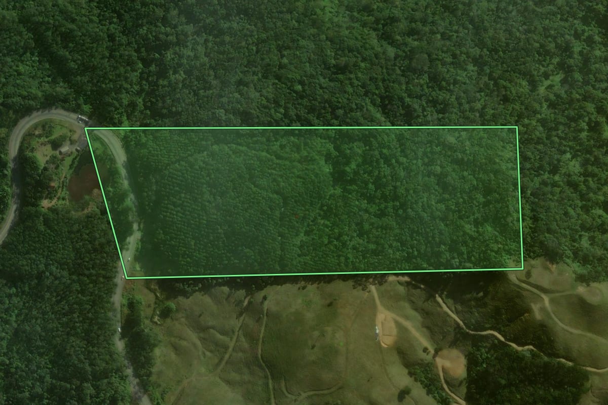 Imagem de satélite do imóvel rural em Corupá (SC), com o contorno declarado no CAR desenhado por cima.