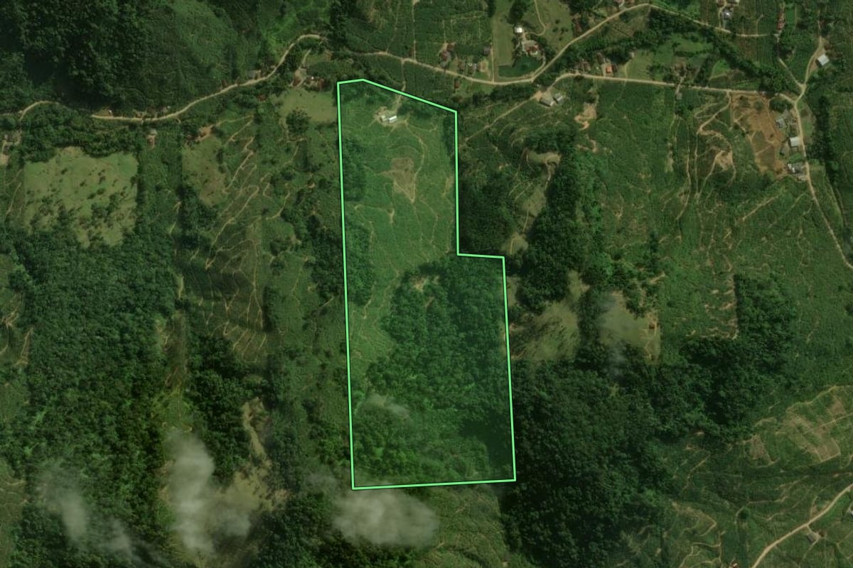 Imagem de satélite do imóvel rural em Corupá (SC), com o contorno declarado no CAR desenhado por cima.
