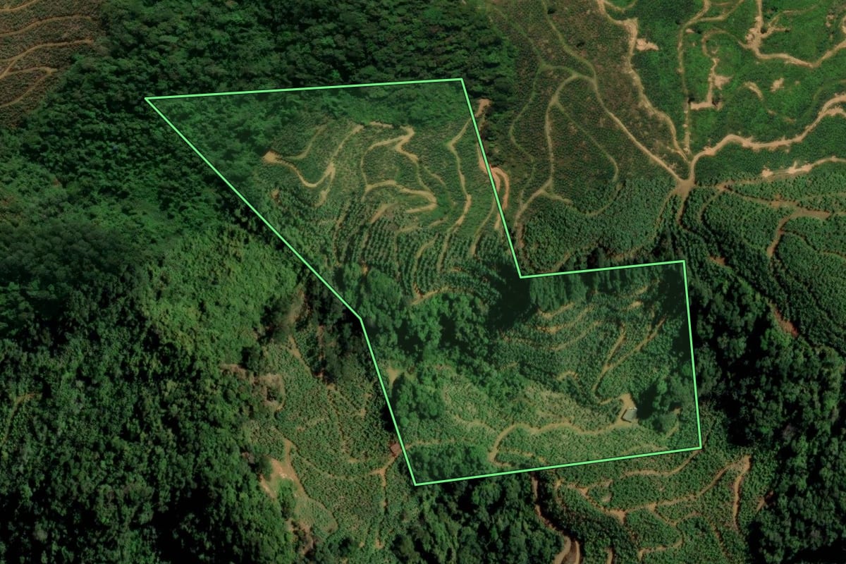 Imagem de satélite do imóvel rural em Corupá (SC), com o contorno declarado no CAR desenhado por cima.