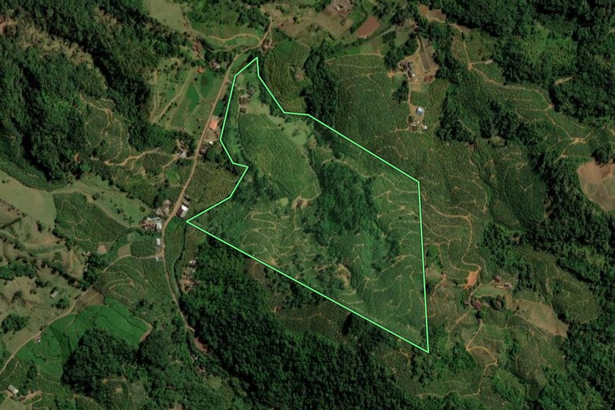Imagem de satélite do imóvel rural em Corupá (SC), com o contorno declarado no CAR desenhado por cima.