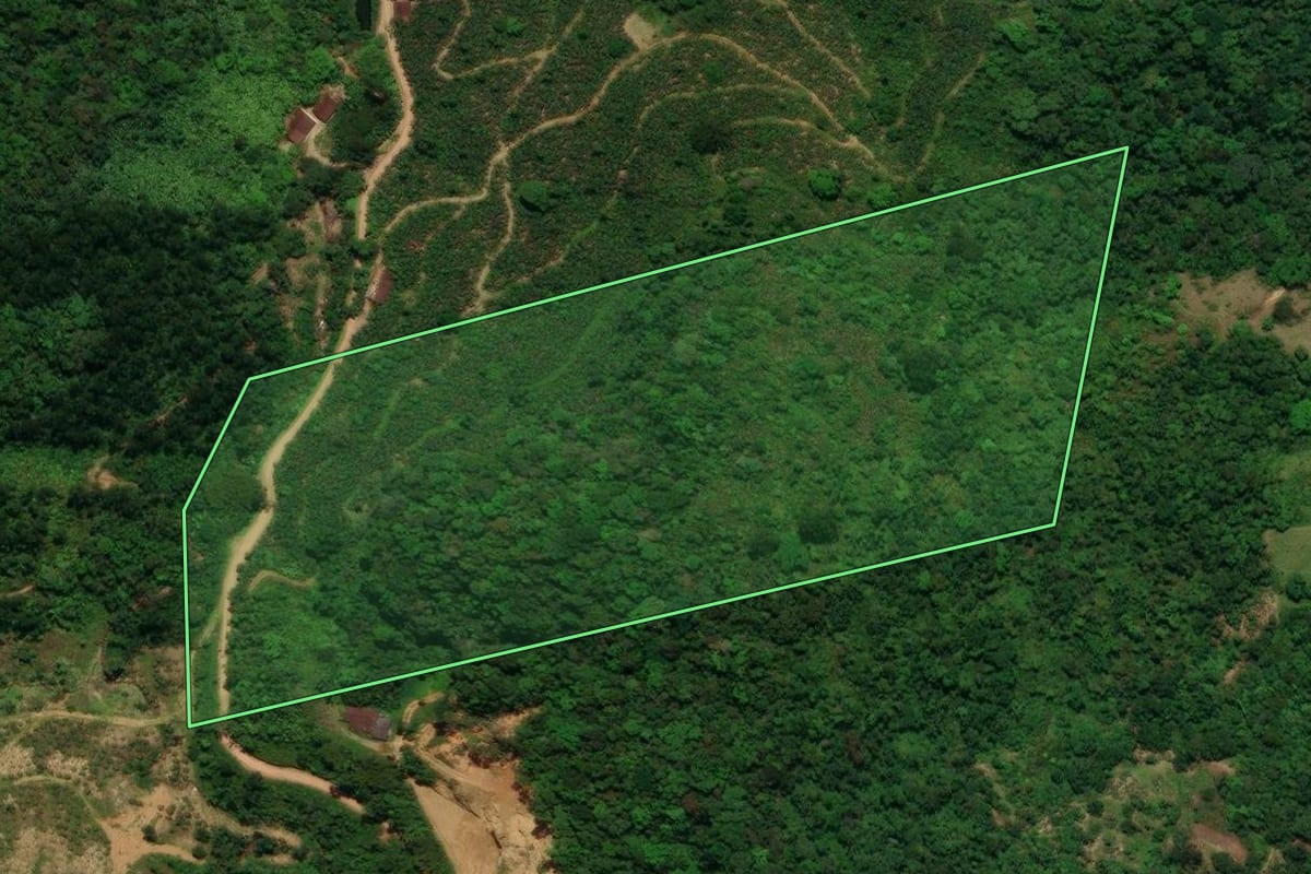 Imagem de satélite do imóvel rural em Corupá (SC), com o contorno declarado no CAR desenhado por cima.