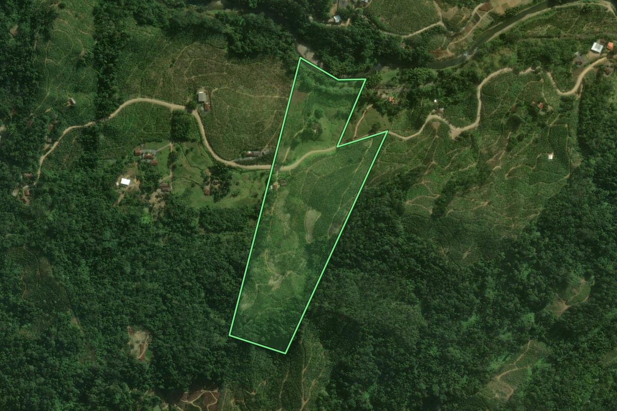 Imagem de satélite do imóvel rural em Corupá (SC), com o contorno declarado no CAR desenhado por cima.