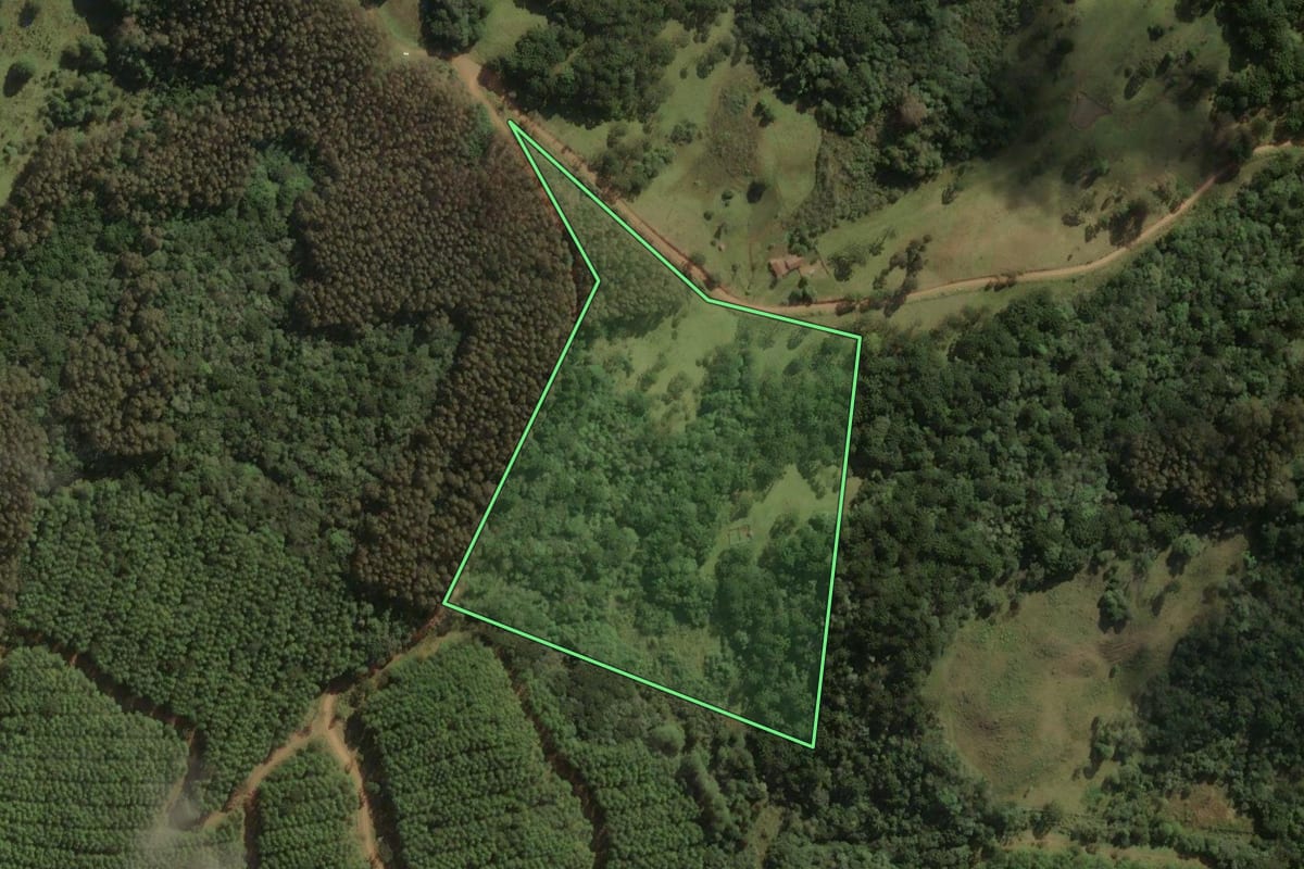 Imagem de satélite do imóvel rural em Correia Pinto (SC), com o contorno declarado no CAR desenhado por cima.