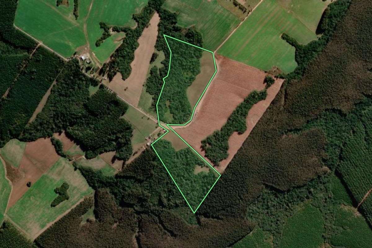 Imagem de satélite do imóvel rural em Correia Pinto (SC), com o contorno declarado no CAR desenhado por cima.