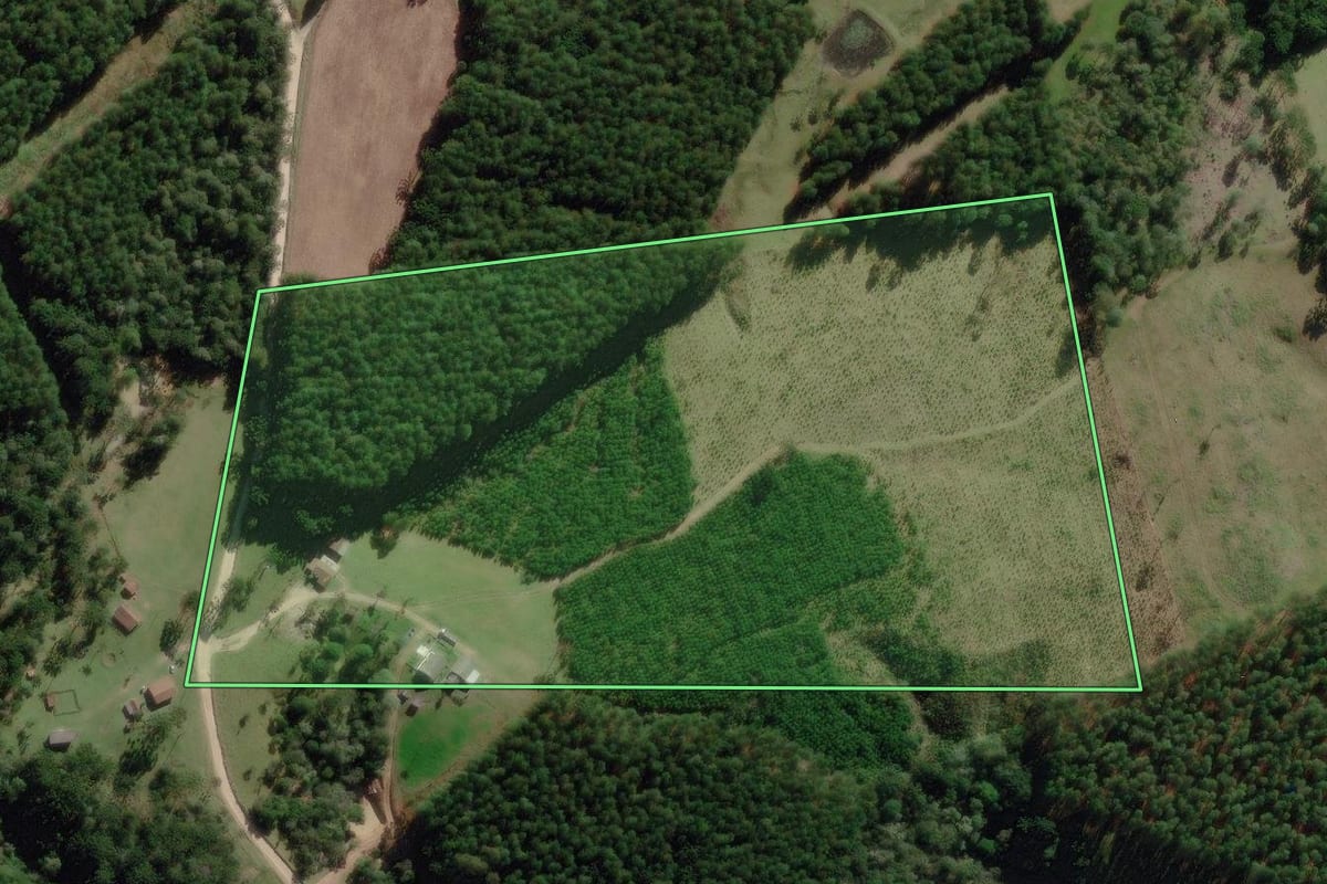 Imagem de satélite do imóvel rural em Correia Pinto (SC), com o contorno declarado no CAR desenhado por cima.