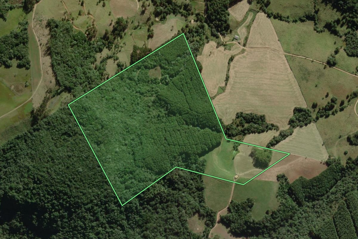 Imagem de satélite do imóvel rural em Correia Pinto (SC), com o contorno declarado no CAR desenhado por cima.