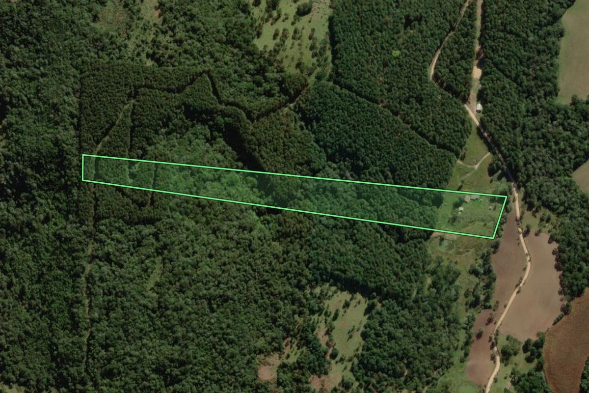 Imagem de satélite do imóvel rural em Correia Pinto (SC), com o contorno declarado no CAR desenhado por cima.