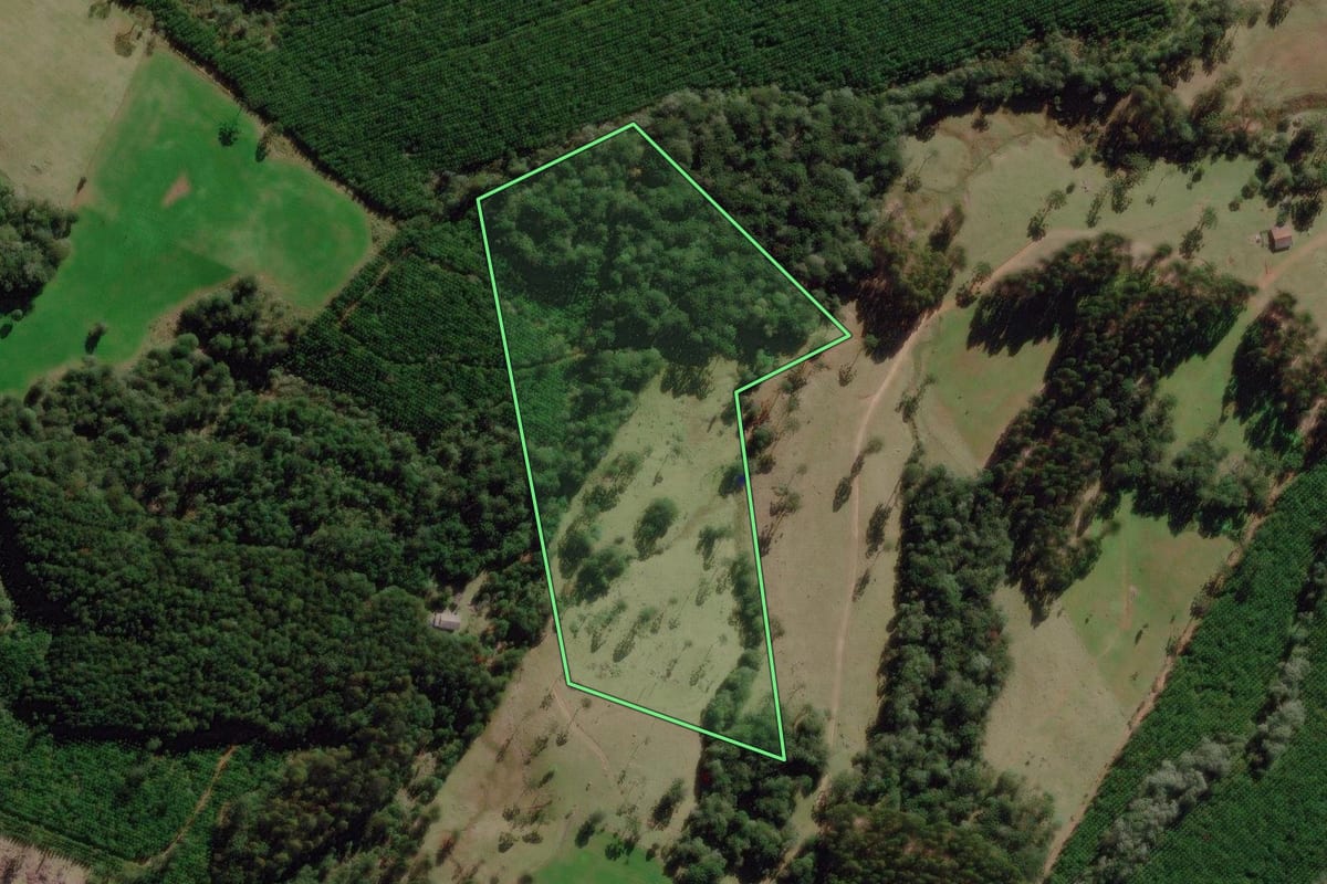Imagem de satélite do imóvel rural em Correia Pinto (SC), com o contorno declarado no CAR desenhado por cima.