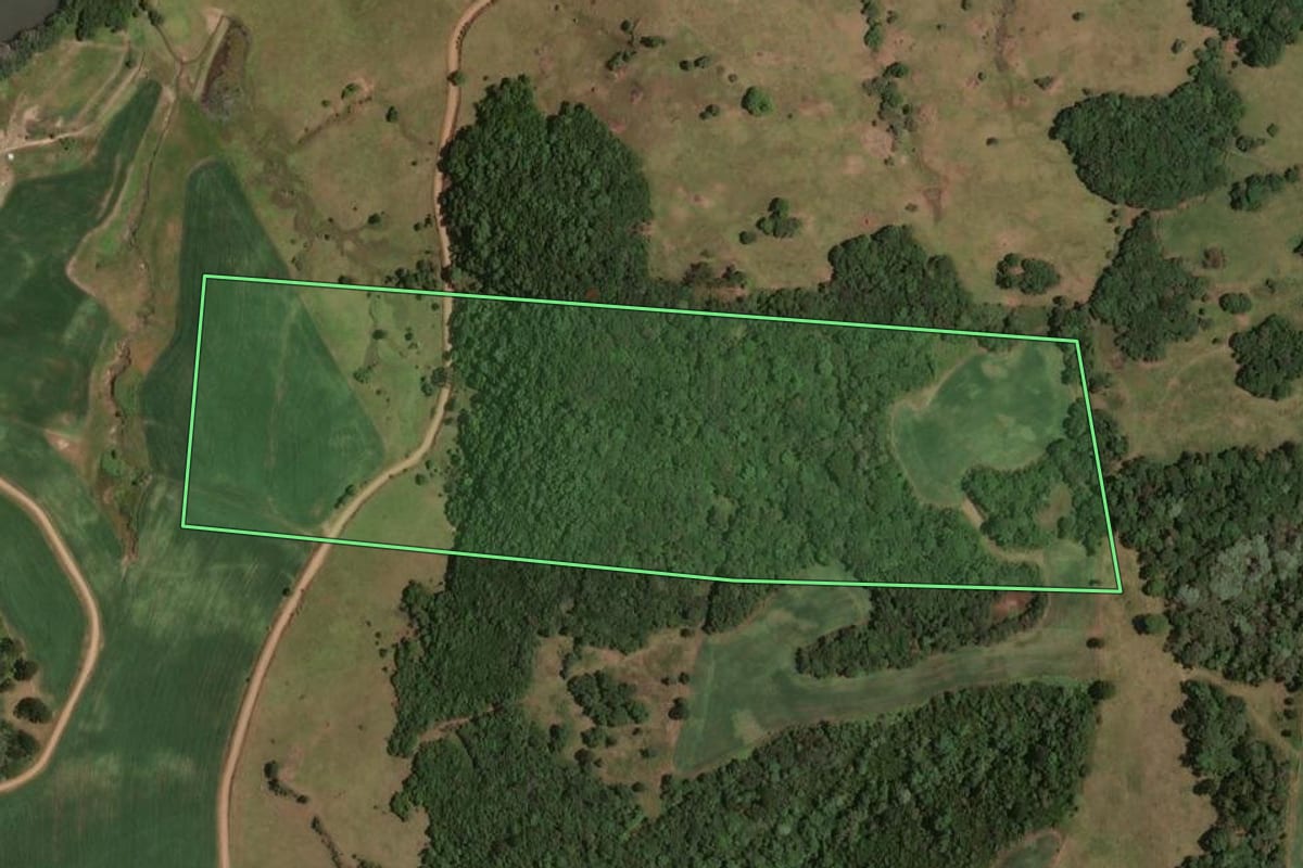 Imagem de satélite do imóvel rural em Correia Pinto (SC), com o contorno declarado no CAR desenhado por cima.