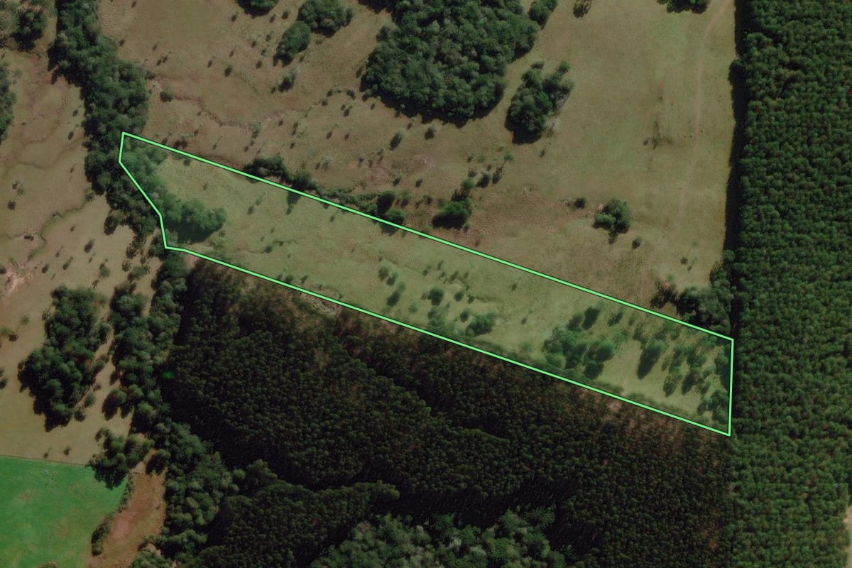 Imagem de satélite do imóvel rural em Correia Pinto (SC), com o contorno declarado no CAR desenhado por cima.