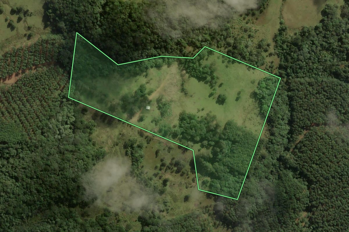 Imagem de satélite do imóvel rural em Correia Pinto (SC), com o contorno declarado no CAR desenhado por cima.