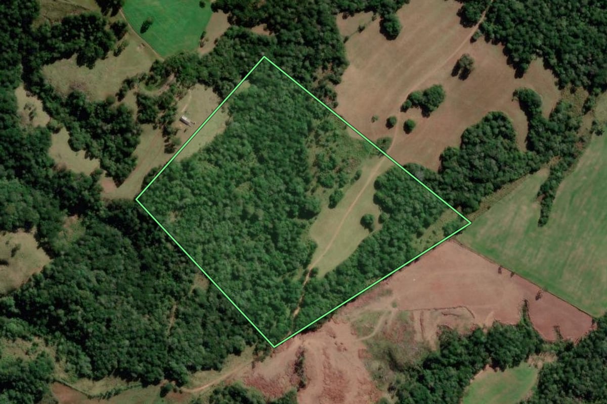 Imagem de satélite do imóvel rural em Correia Pinto (SC), com o contorno declarado no CAR desenhado por cima.