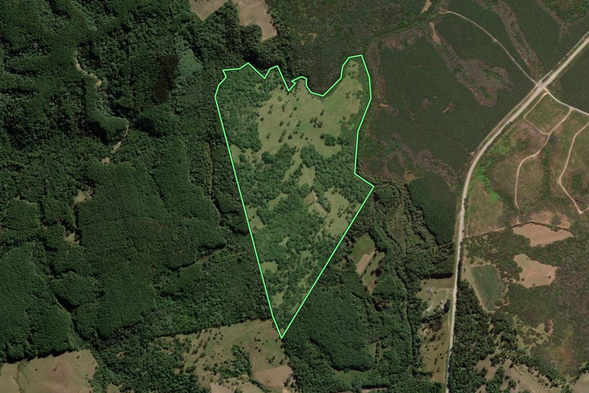 Imagem de satélite do imóvel rural em Correia Pinto (SC), com o contorno declarado no CAR desenhado por cima.