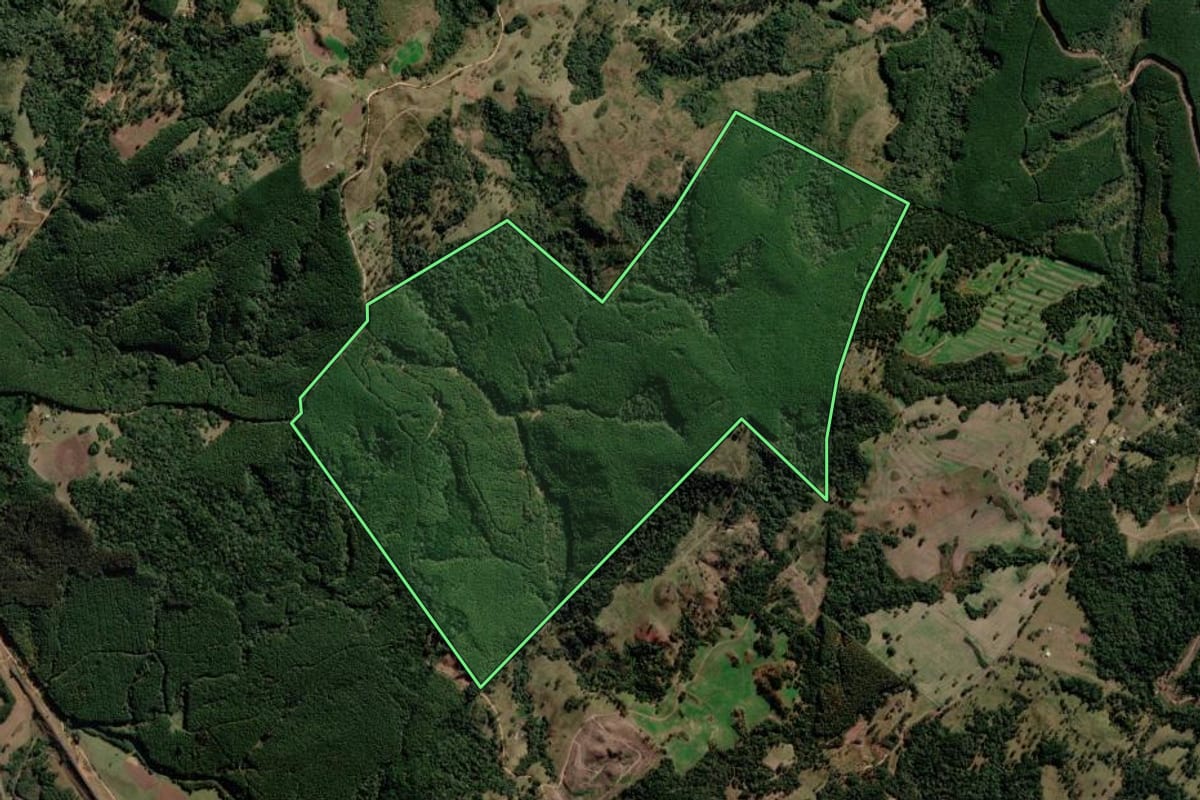 Imagem de satélite do imóvel rural em Correia Pinto (SC), com o contorno declarado no CAR desenhado por cima.