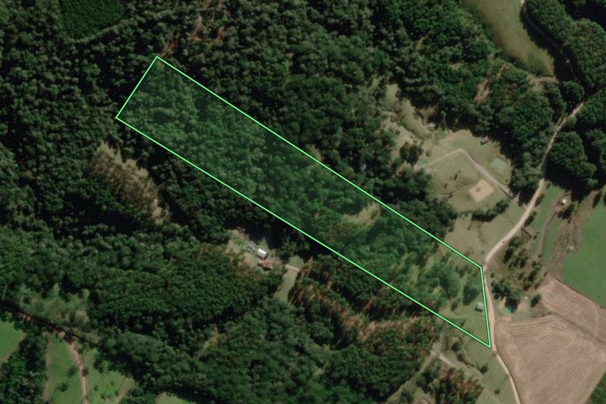 Imagem de satélite do imóvel rural em Correia Pinto (SC), com o contorno declarado no CAR desenhado por cima.