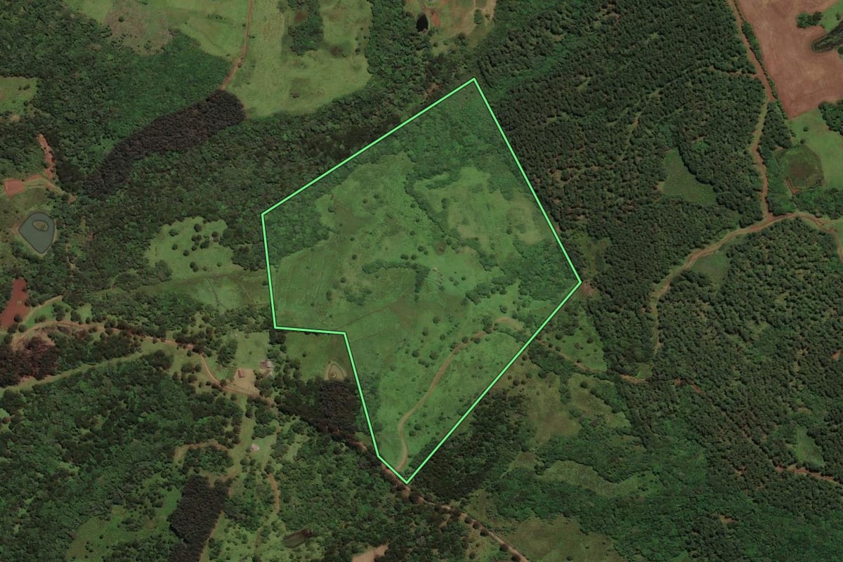Imagem de satélite do imóvel rural em Correia Pinto (SC), com o contorno declarado no CAR desenhado por cima.