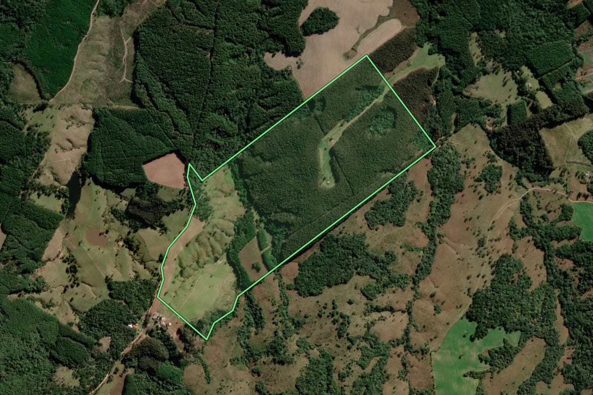Imagem de satélite do imóvel rural em Correia Pinto (SC), com o contorno declarado no CAR desenhado por cima.