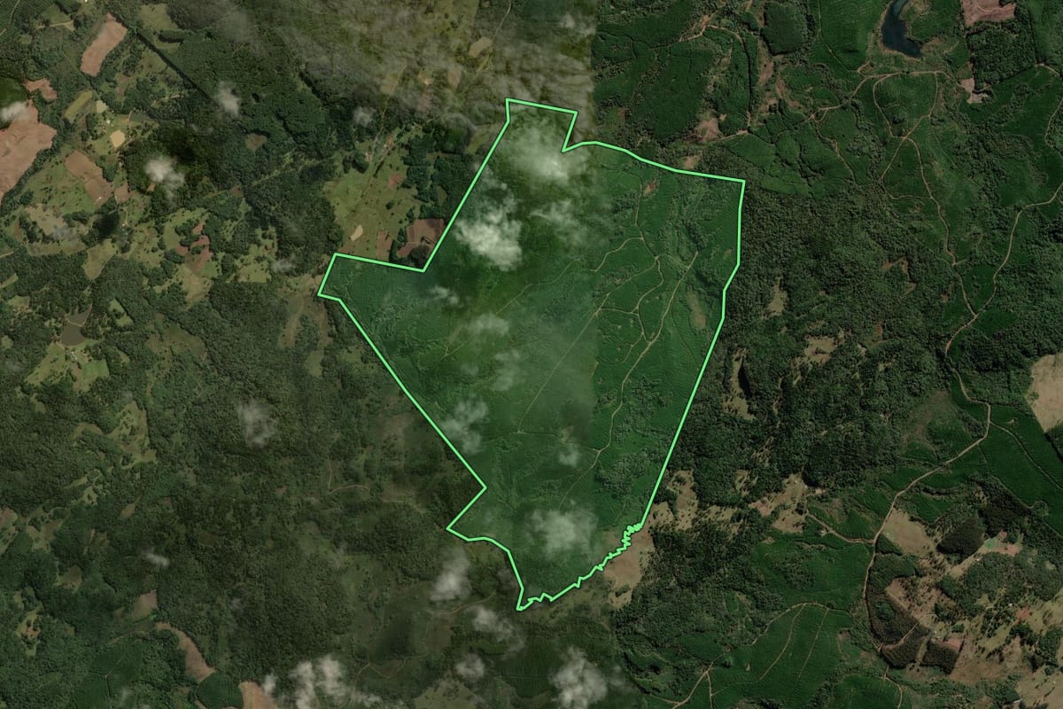 Imagem de satélite do imóvel rural em Correia Pinto (SC), com o contorno declarado no CAR desenhado por cima.