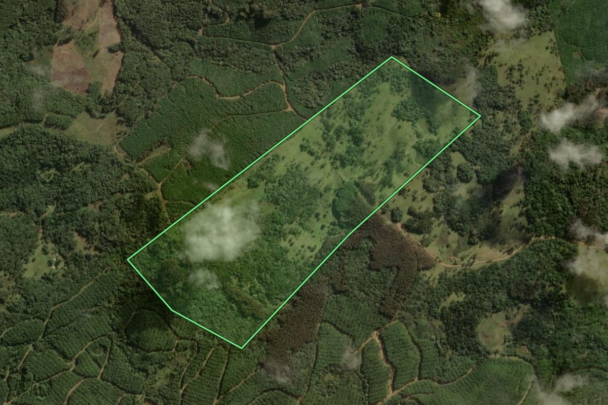 Imagem de satélite do imóvel rural em Correia Pinto (SC), com o contorno declarado no CAR desenhado por cima.