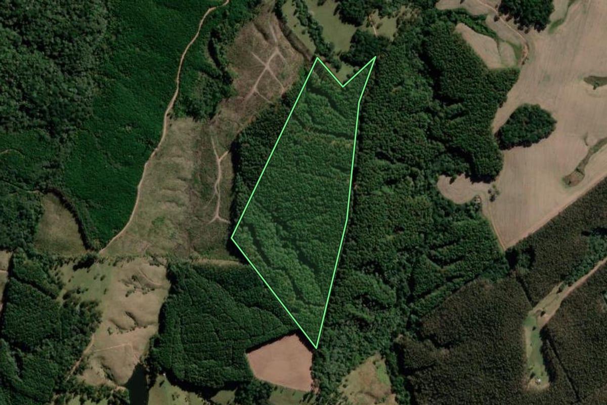 Imagem de satélite do imóvel rural em Correia Pinto (SC), com o contorno declarado no CAR desenhado por cima.