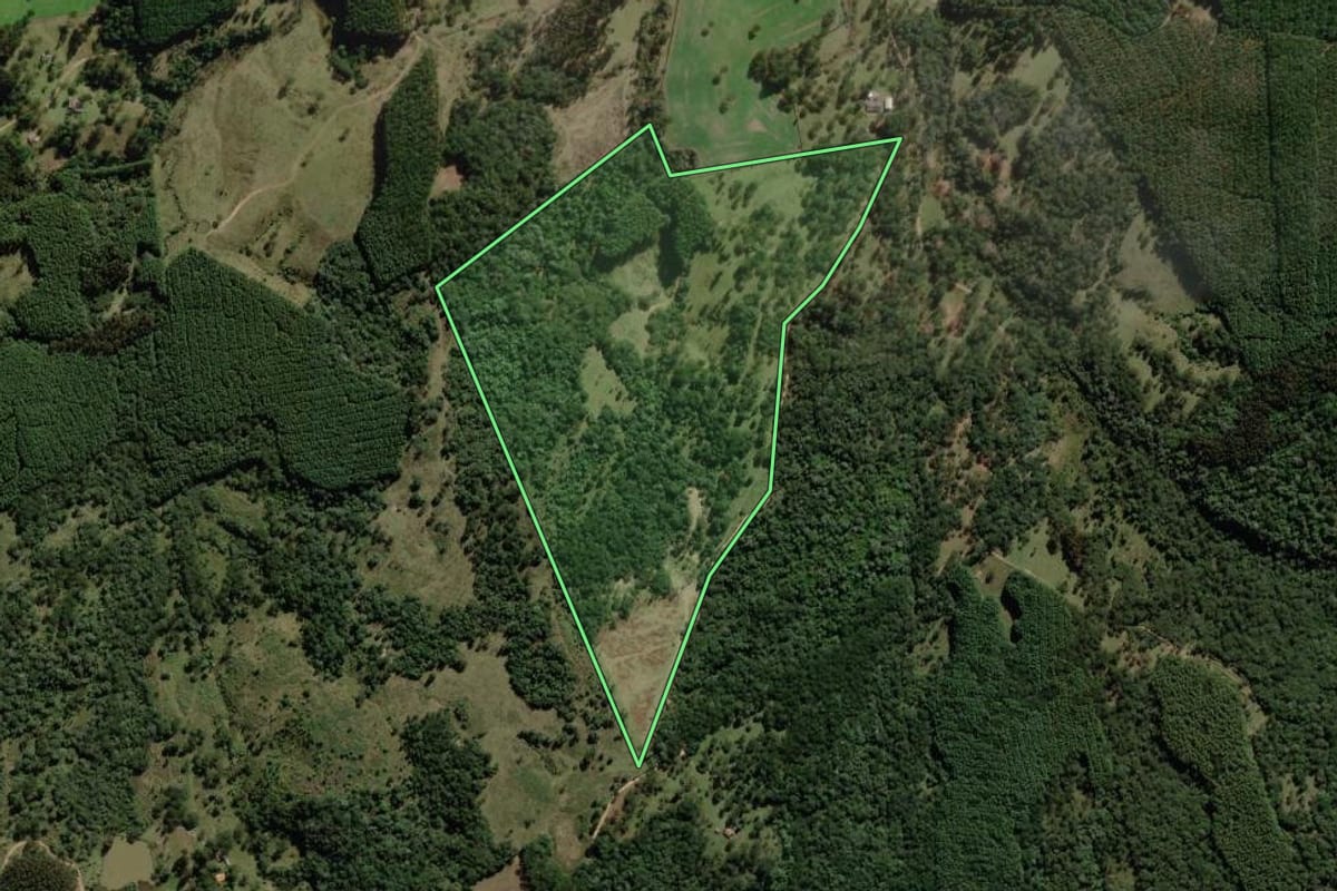 Imagem de satélite do imóvel rural em Correia Pinto (SC), com o contorno declarado no CAR desenhado por cima.