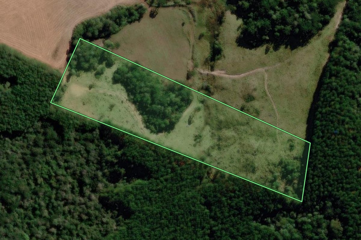 Imagem de satélite do imóvel rural em Correia Pinto (SC), com o contorno declarado no CAR desenhado por cima.