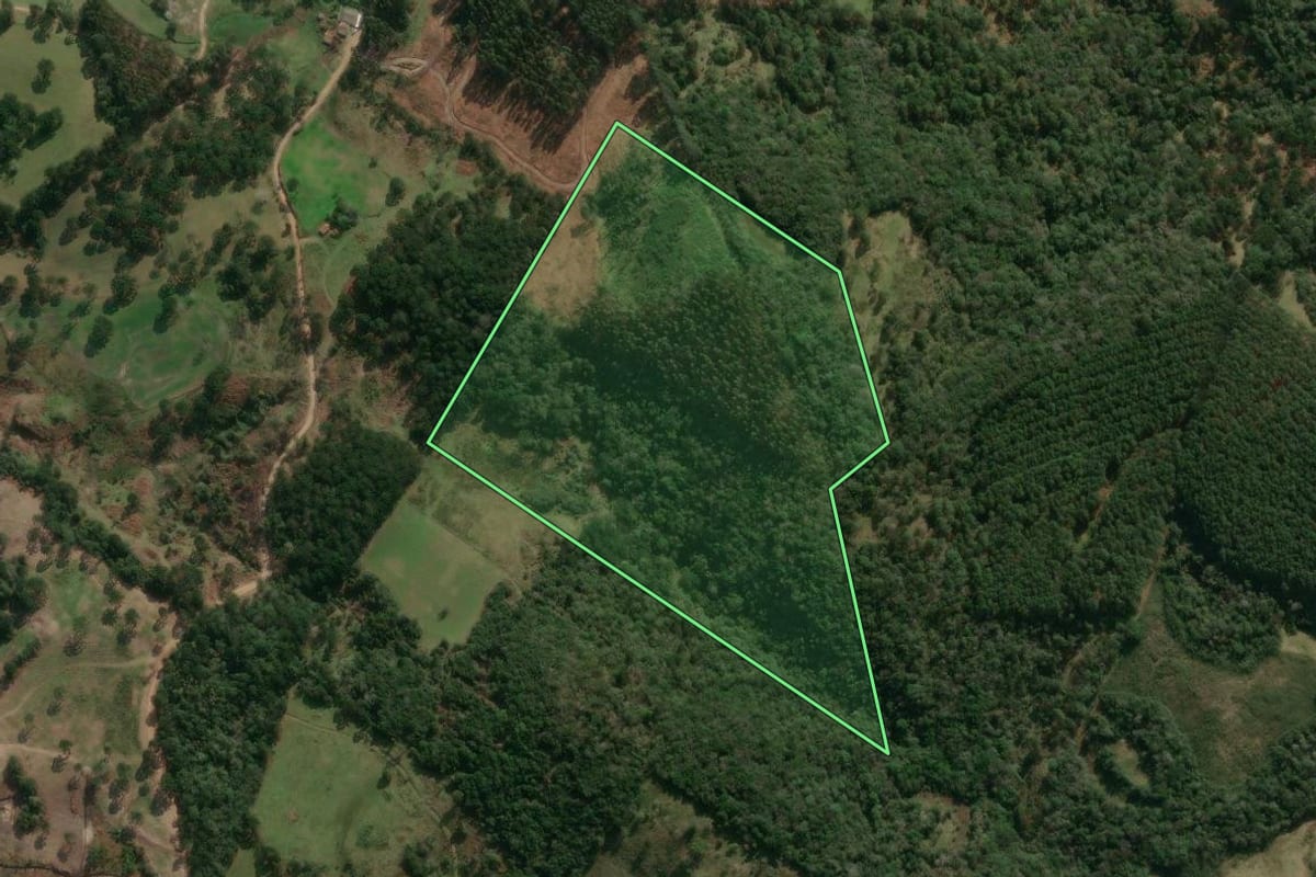 Imagem de satélite do imóvel rural em Correia Pinto (SC), com o contorno declarado no CAR desenhado por cima.