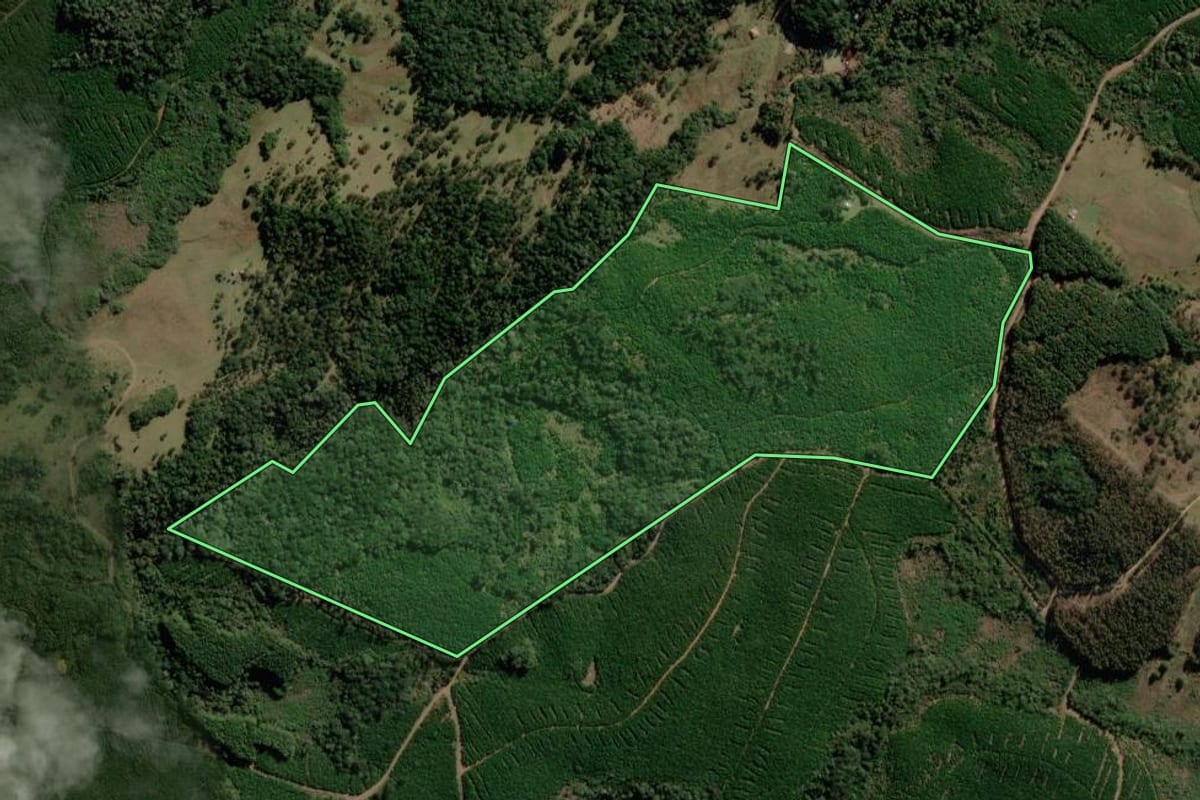 Imagem de satélite do imóvel rural em Correia Pinto (SC), com o contorno declarado no CAR desenhado por cima.