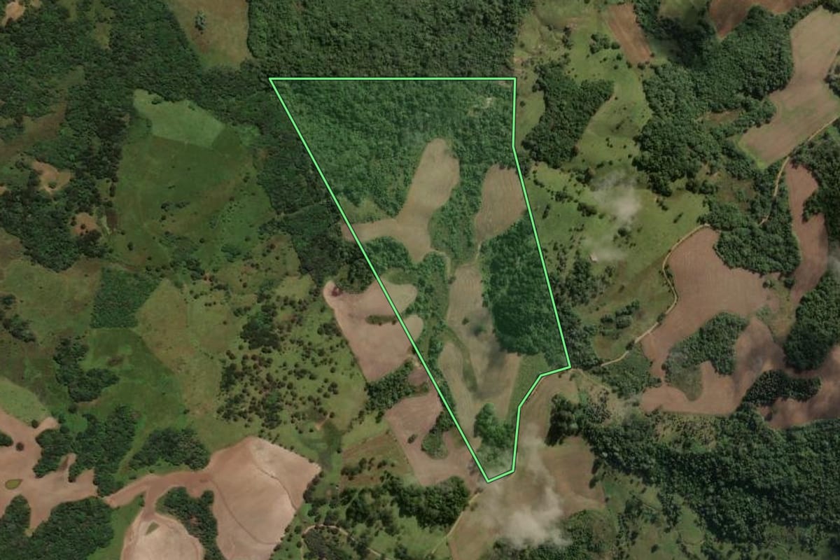 Imagem de satélite do imóvel rural em Correia Pinto (SC), com o contorno declarado no CAR desenhado por cima.