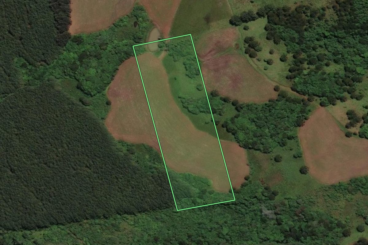 Imagem de satélite do imóvel rural em Correia Pinto (SC), com o contorno declarado no CAR desenhado por cima.