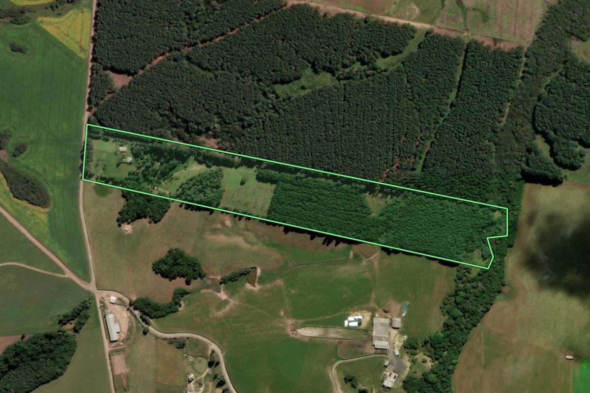 Imagem de satélite do imóvel rural em Correia Pinto (SC), com o contorno declarado no CAR desenhado por cima.