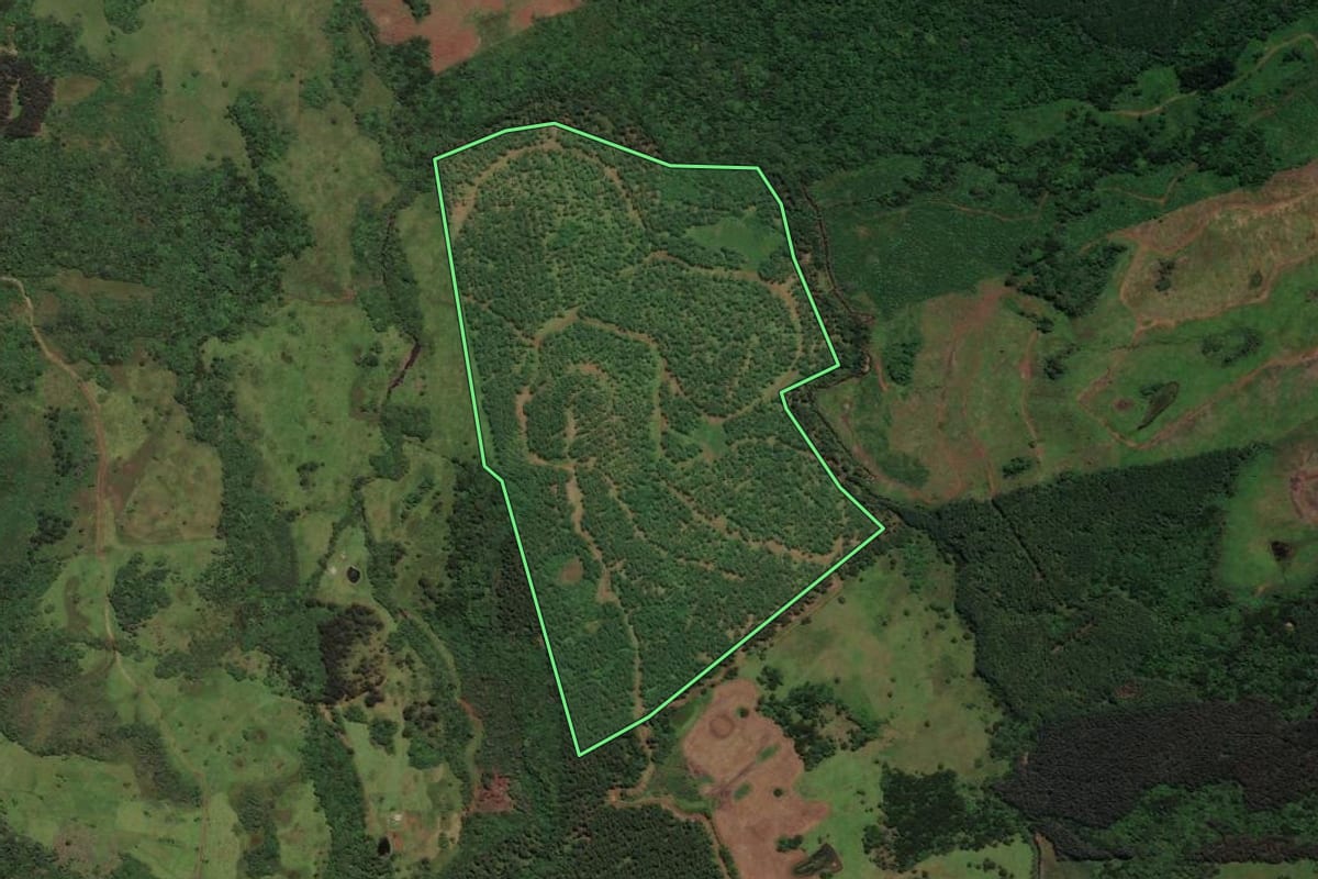 Imagem de satélite do imóvel rural em Correia Pinto (SC), com o contorno declarado no CAR desenhado por cima.