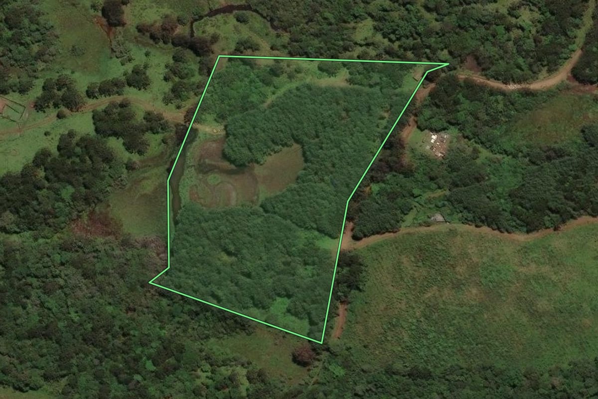 Imagem de satélite do imóvel rural em Correia Pinto (SC), com o contorno declarado no CAR desenhado por cima.