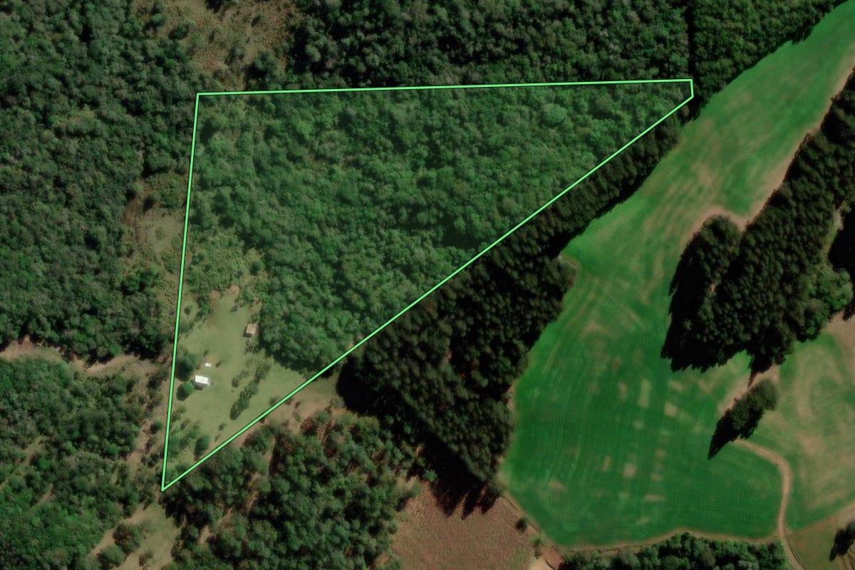 Imagem de satélite do imóvel rural em Correia Pinto (SC), com o contorno declarado no CAR desenhado por cima.