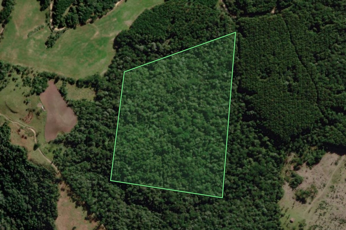 Imagem de satélite do imóvel rural em Correia Pinto (SC), com o contorno declarado no CAR desenhado por cima.